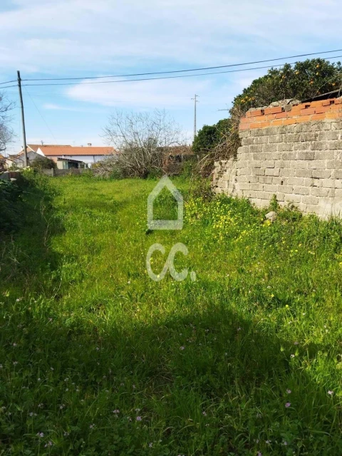 Terreno para Venda em Monte Real e Carvide
