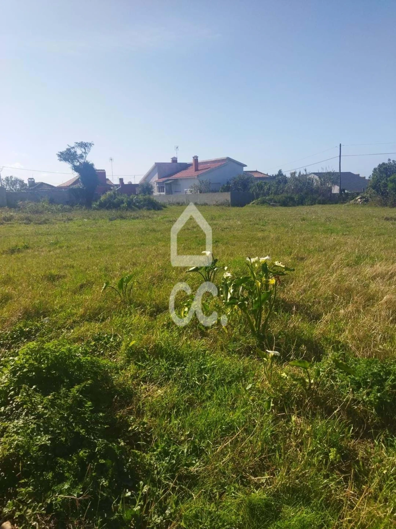 Terreno para Venda em Vieira de Leiria Foto 13