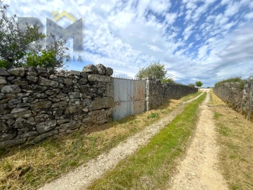 Quinta T0 para Venda em Alcains