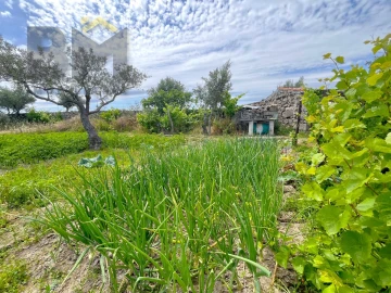 Quinta T0 para Venda em Alcains