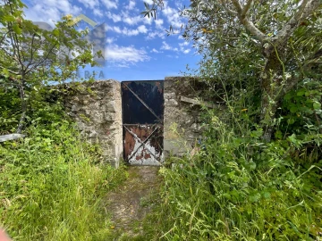 Quinta T0 para Venda em Alcains