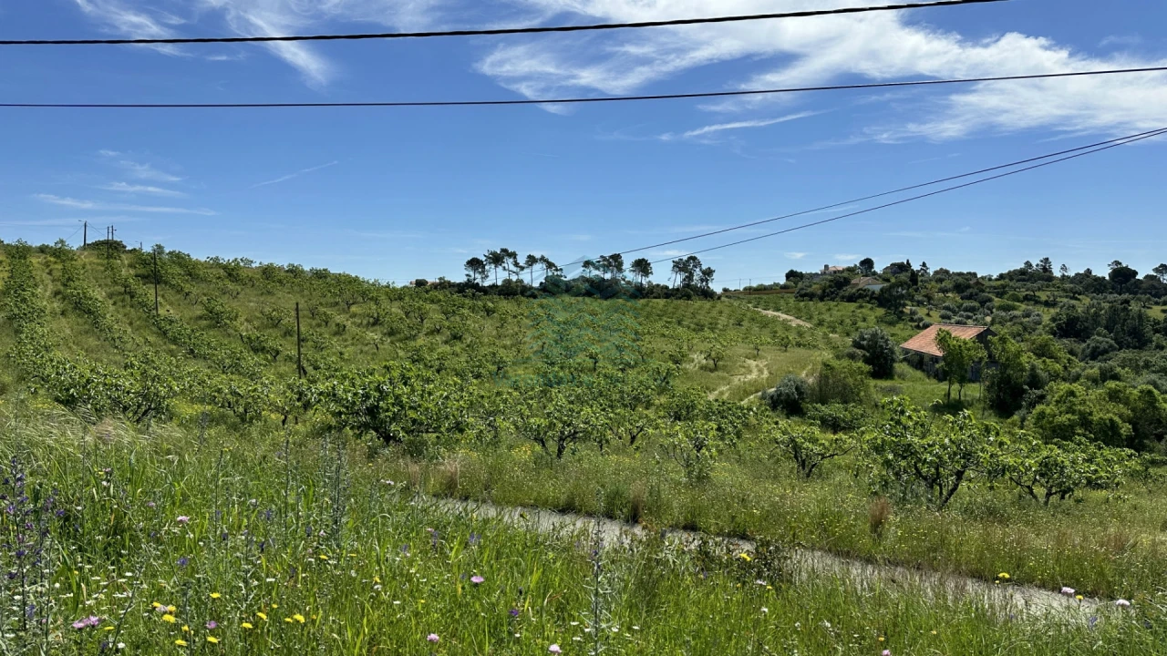 Terreno para Venda em Chancelaria Foto 21