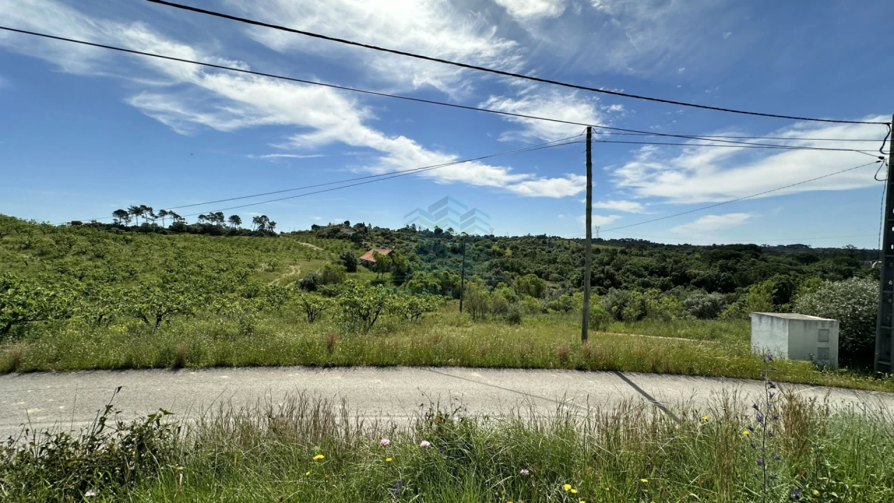 Terreno para Venda em Chancelaria Foto 22