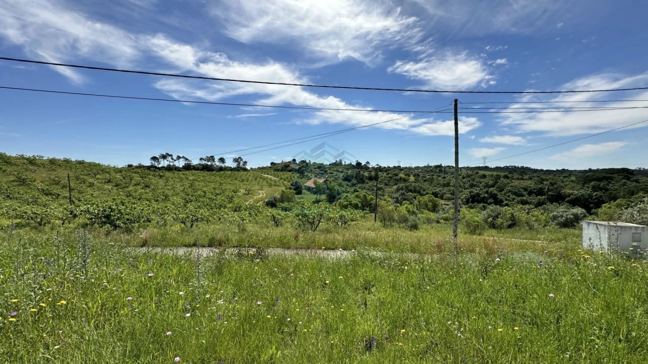 Terreno para Venda em Chancelaria Foto 18