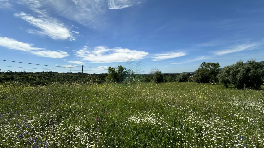 Terreno para Venda em Chancelaria Foto 15