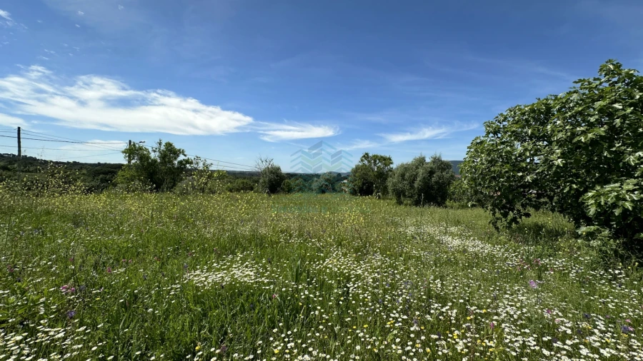 Terreno para Venda em Chancelaria Foto 12