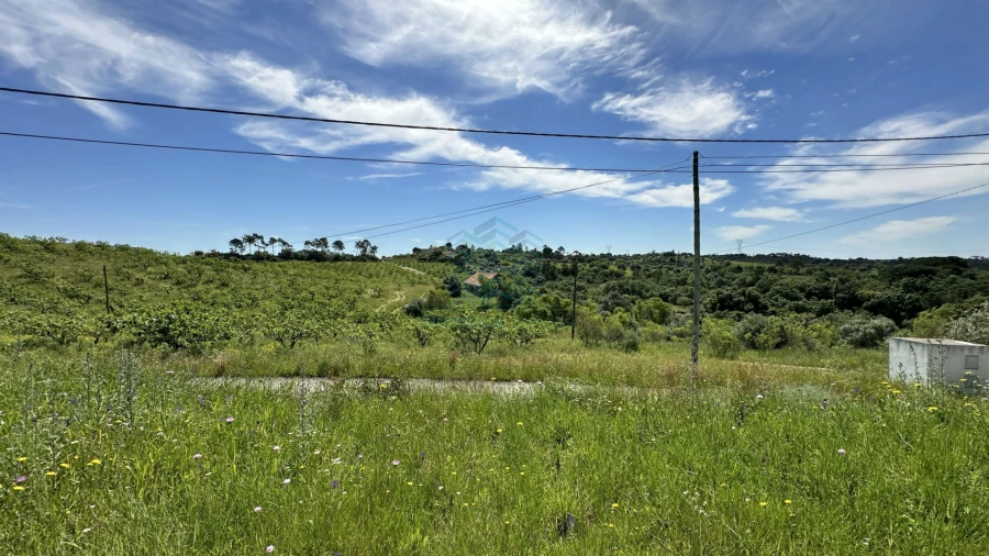 Terreno para Venda em Chancelaria Foto 18