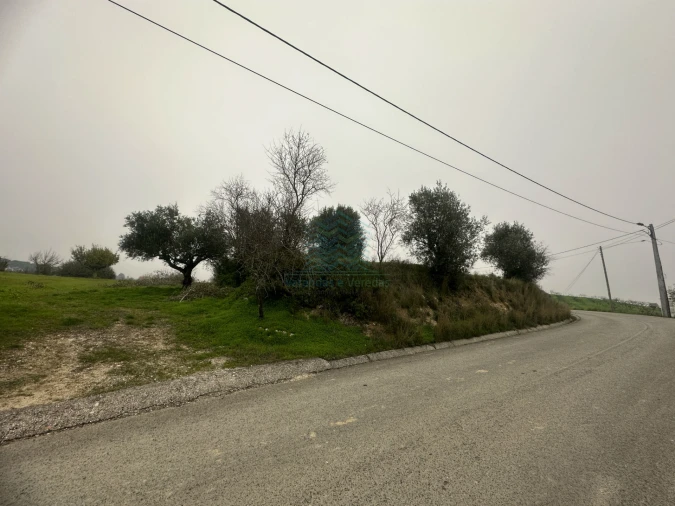 Terreno para Venda em Chancelaria Foto 4