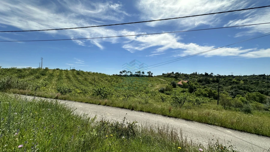 Terreno para Venda em Chancelaria Foto 23
