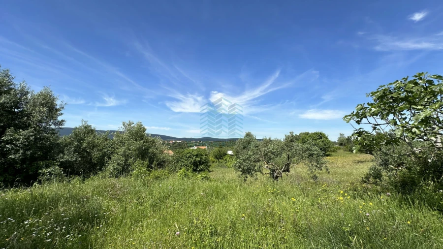 Terreno para Venda em Chancelaria Foto 10