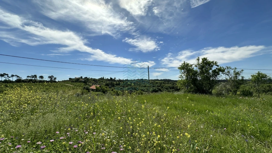 Terreno para Venda em Chancelaria Foto 16
