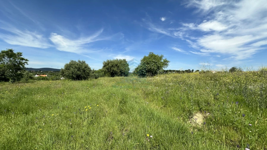 Terreno para Venda em Chancelaria Foto 7