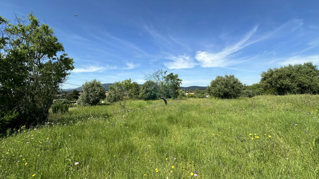 Terreno para Venda em Chancelaria Foto 5