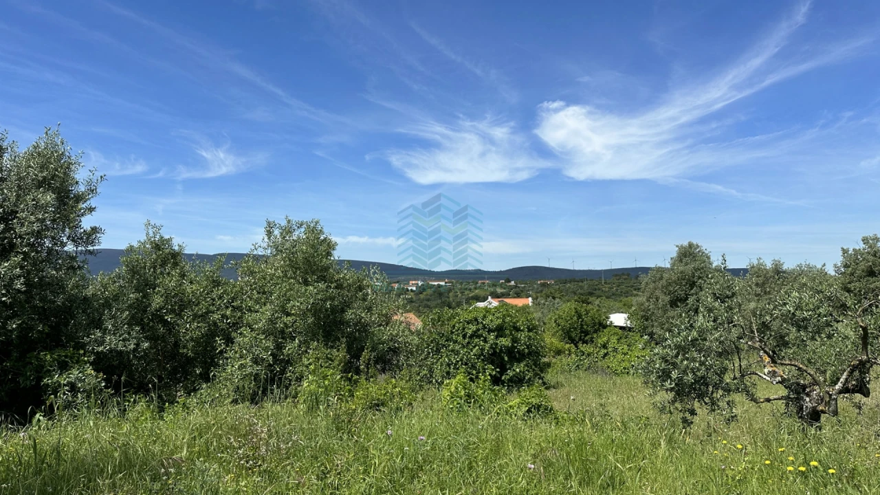 Terreno para Venda em Chancelaria Foto 11