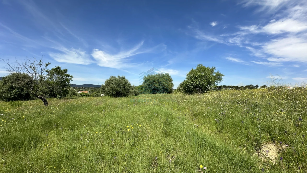 Terreno para Venda em Chancelaria Foto 24