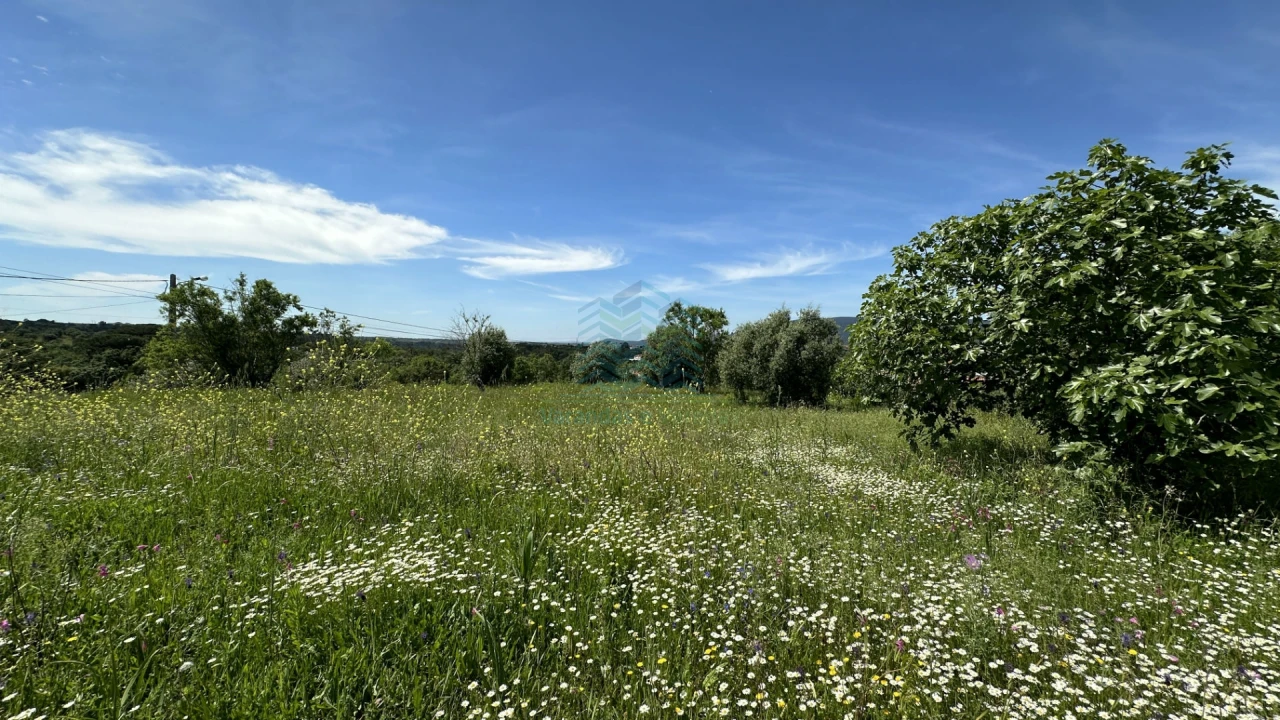 Terreno para Venda em Chancelaria Foto 14