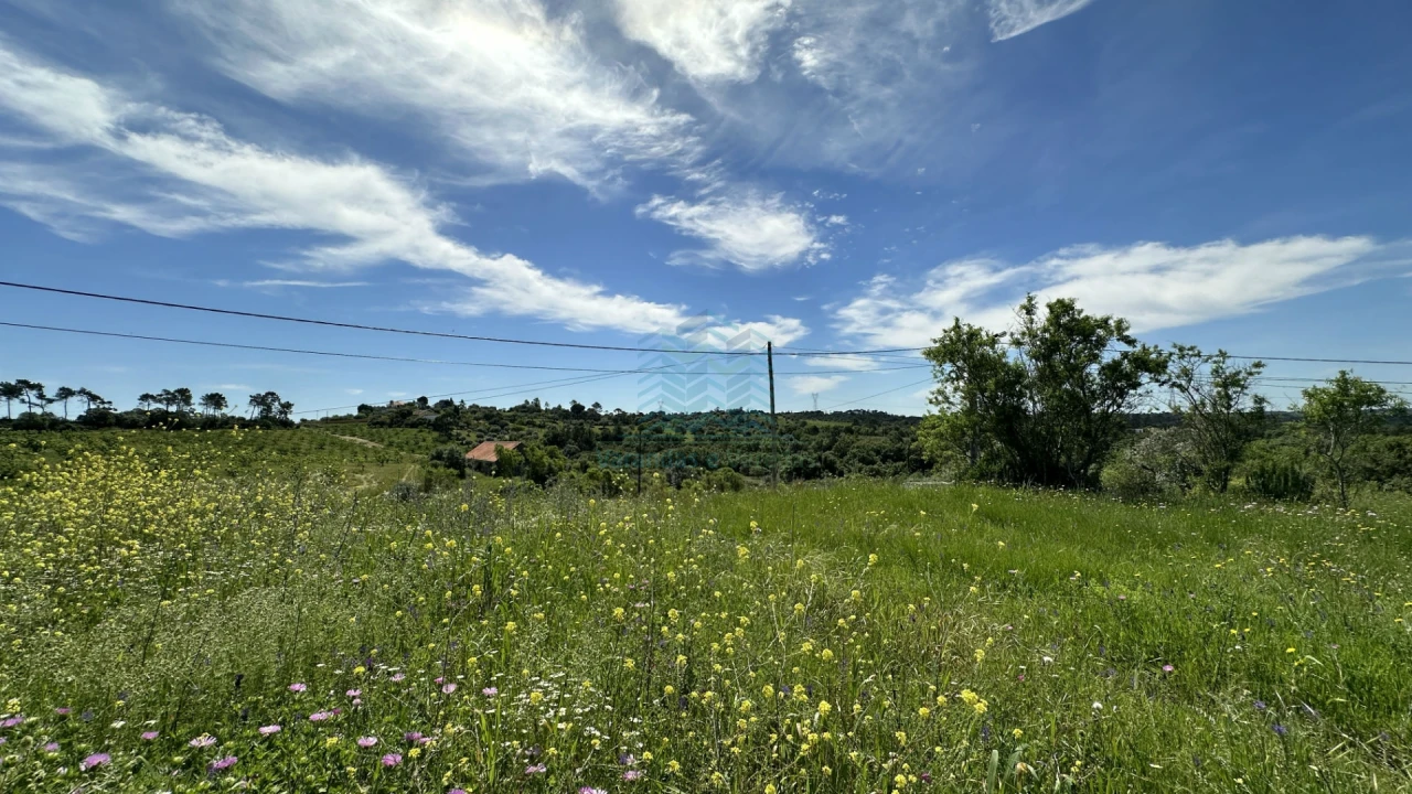 Terreno para Venda em Chancelaria Foto 16