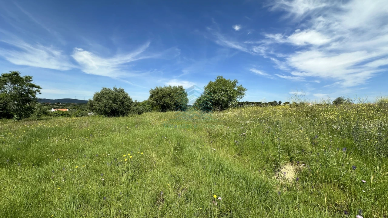Terreno para Venda em Chancelaria Foto 7