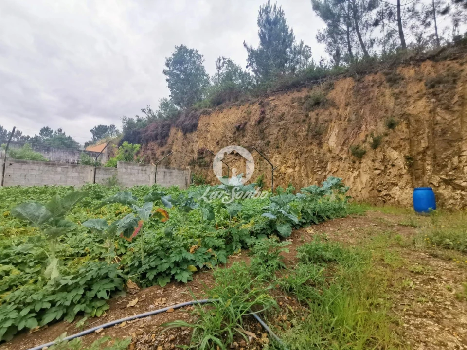 Terreno para Venda em Vila Nova de Famalicão e Calendário Foto 8