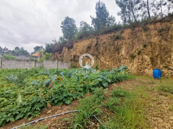 Terreno para Venda em Vila Nova de Famalicão e Calendário Foto 8