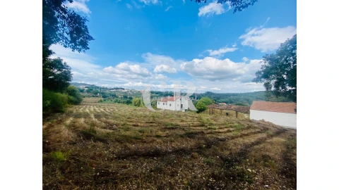Terreno para Venda em Figueiró dos Vinhos e Bairradas