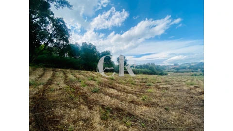 Terreno para Venda em Figueiró dos Vinhos e Bairradas