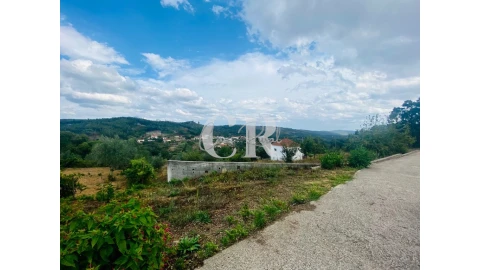 Terreno para Venda em Figueiró dos Vinhos e Bairradas
