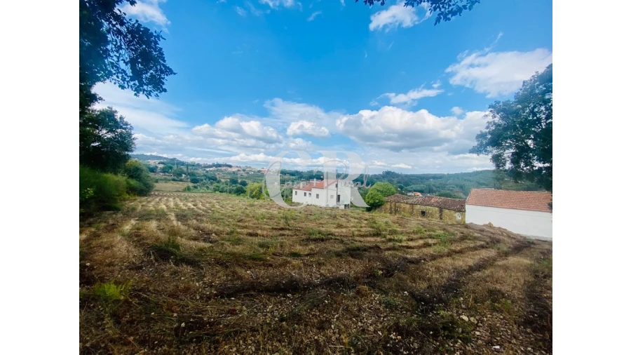 Terreno para Venda em Figueiró dos Vinhos e Bairradas Foto 1