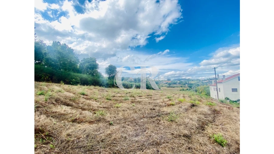 Terreno para Venda em Figueiró dos Vinhos e Bairradas Foto 4