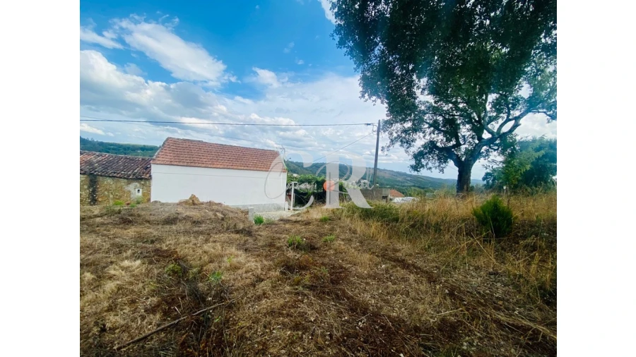 Terreno para Venda em Figueiró dos Vinhos e Bairradas Foto 5