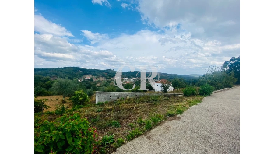 Terreno para Venda em Figueiró dos Vinhos e Bairradas Foto 7
