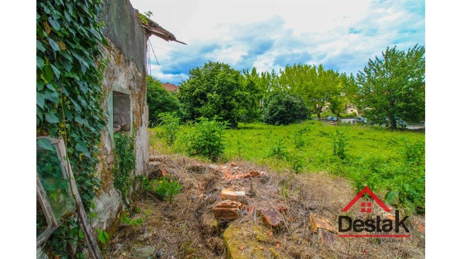 Terreno Misto para Venda em Rio de Loba Foto 8