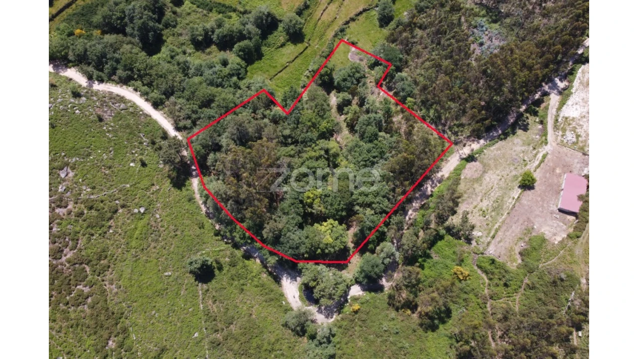 Terreno para Venda em Alvora e Loureda Foto 3