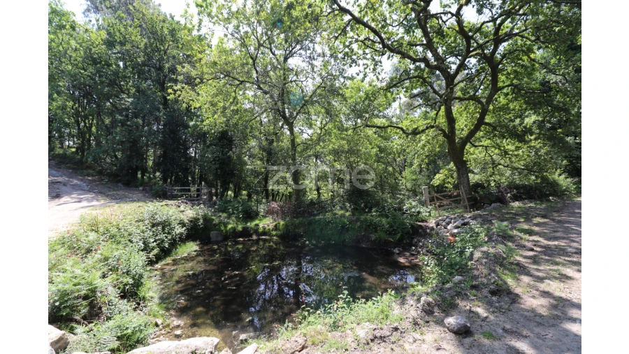 Terreno para Venda em Alvora e Loureda Foto 4