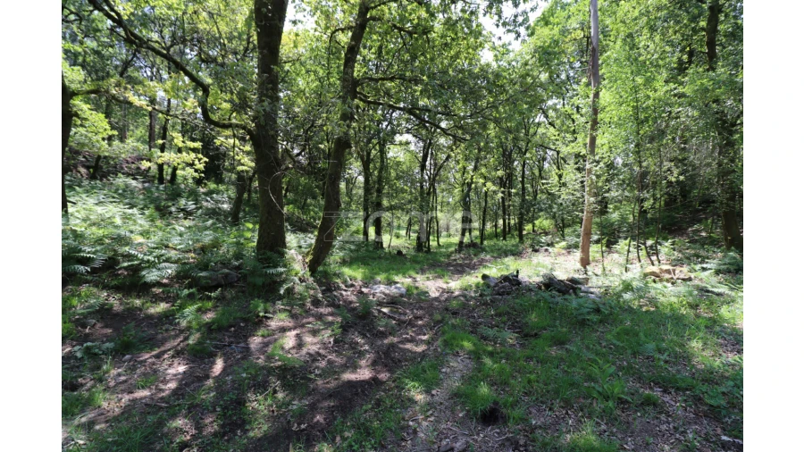 Terreno para Venda em Alvora e Loureda Foto 8