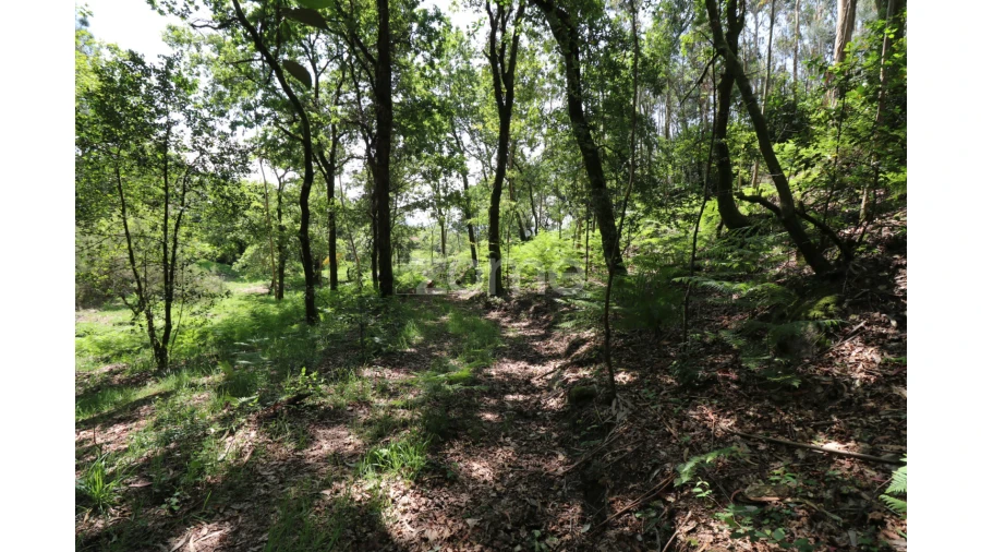 Terreno para Venda em Alvora e Loureda Foto 9