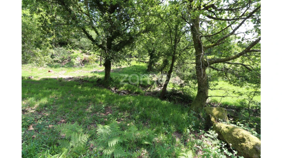 Terreno para Venda em Alvora e Loureda Foto 17