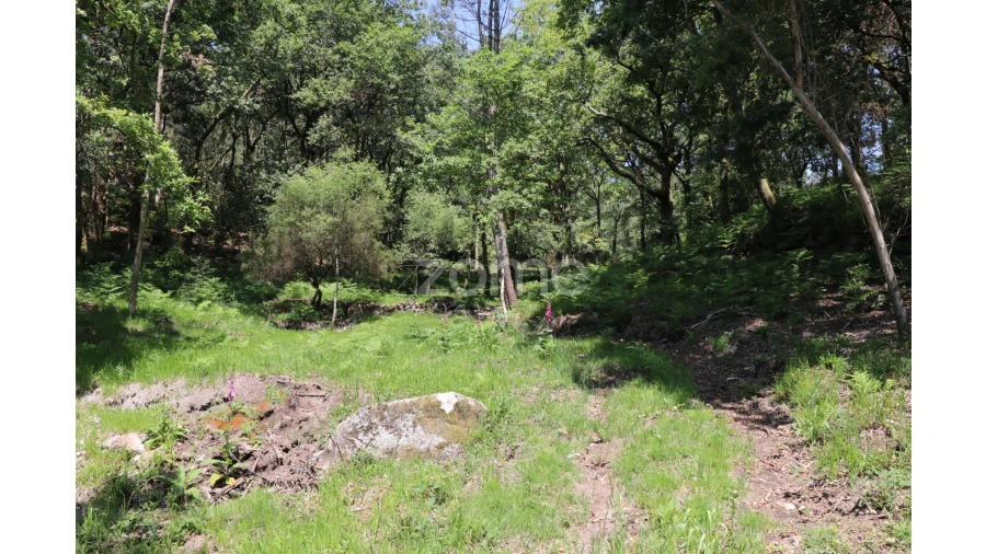 Terreno para Venda em Alvora e Loureda Foto 15