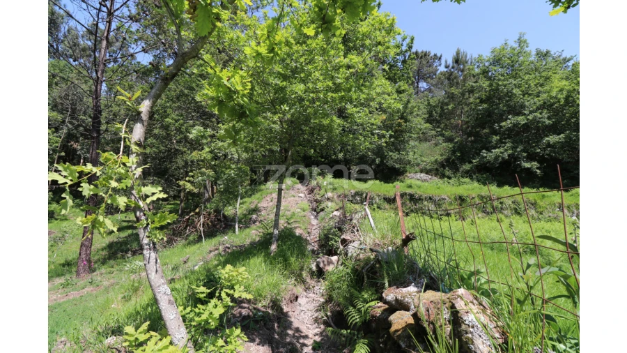 Terreno para Venda em Alvora e Loureda Foto 16