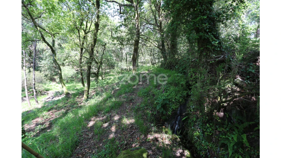 Terreno para Venda em Alvora e Loureda Foto 18