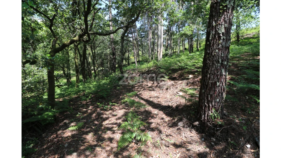 Terreno para Venda em Alvora e Loureda Foto 20