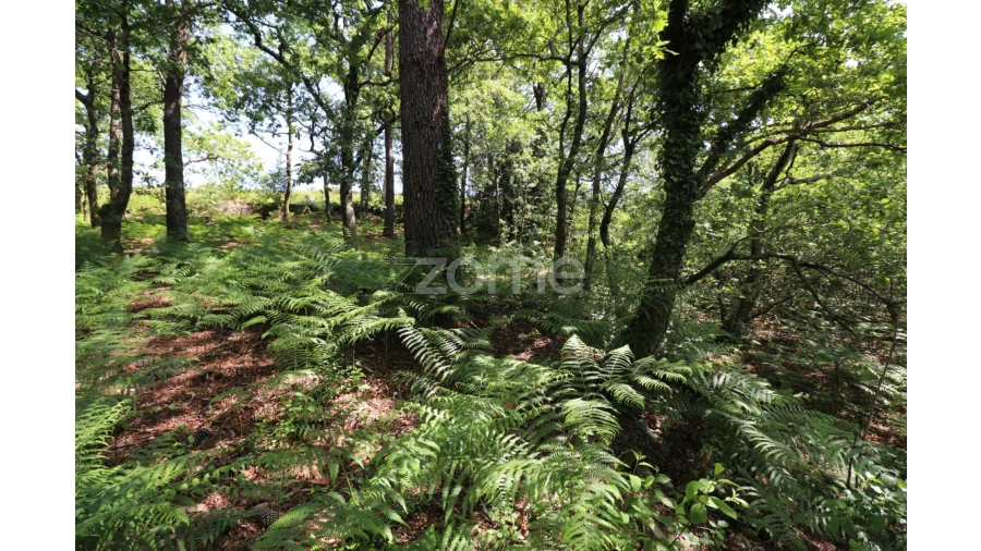 Terreno para Venda em Alvora e Loureda Foto 21