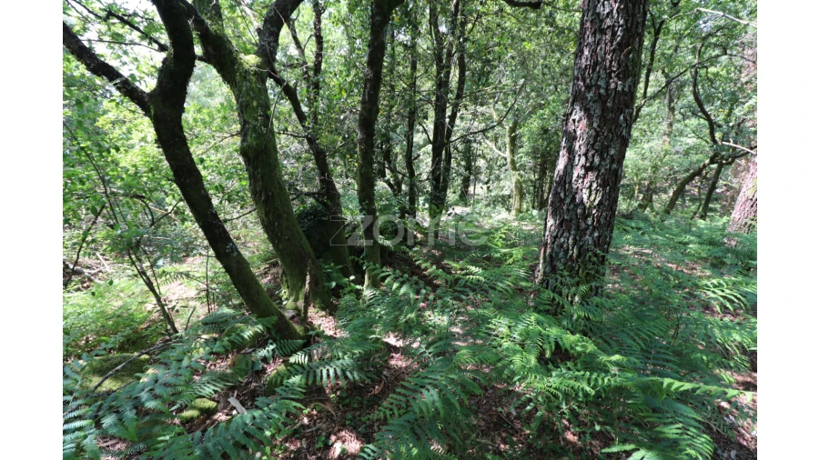 Terreno para Venda em Alvora e Loureda Foto 22