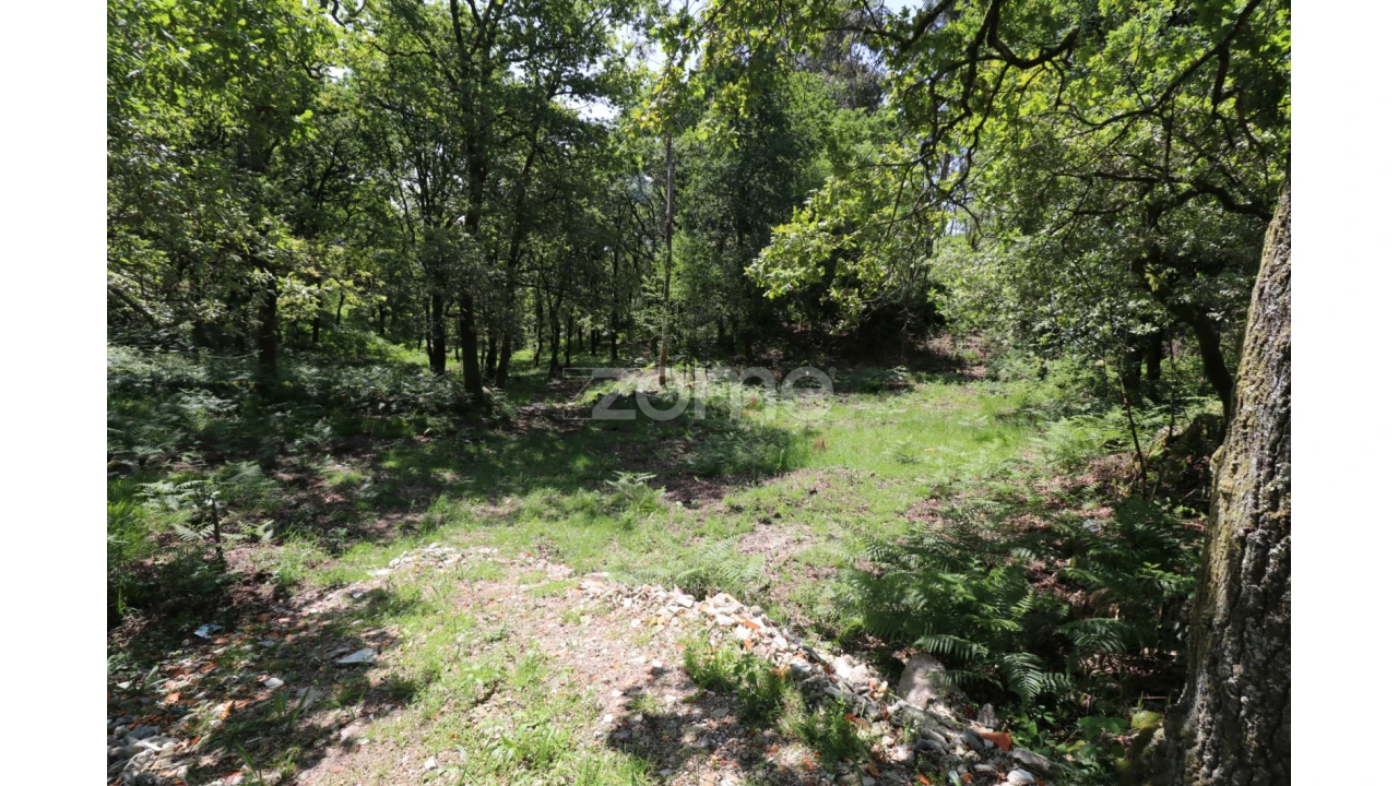 Terreno para Venda em Alvora e Loureda Foto 5