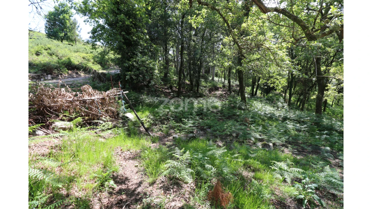 Terreno para Venda em Alvora e Loureda Foto 6