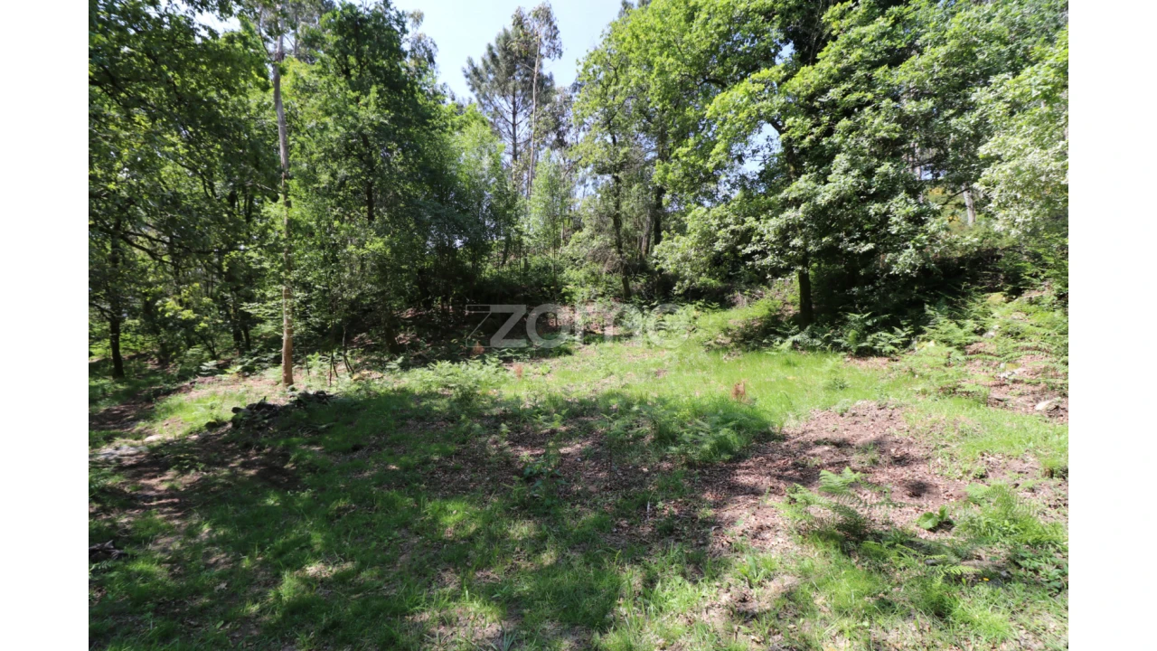 Terreno para Venda em Alvora e Loureda Foto 7