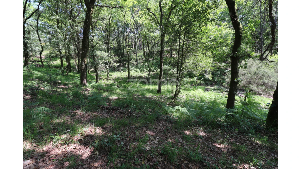 Terreno para Venda em Alvora e Loureda Foto 10