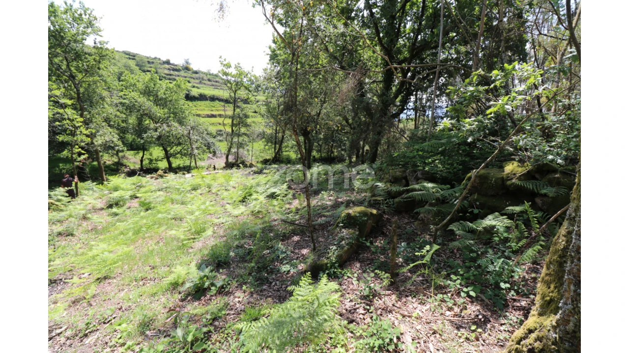Terreno para Venda em Alvora e Loureda Foto 11