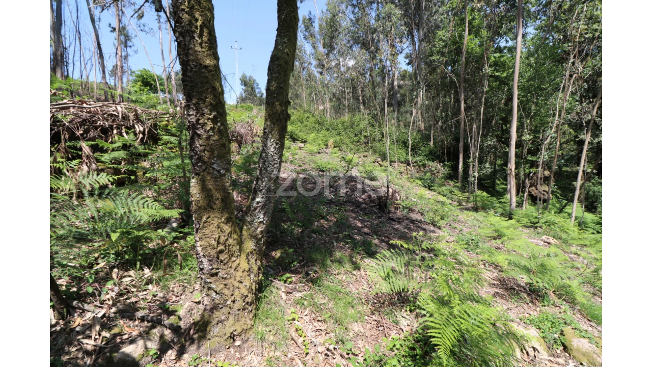 Terreno para Venda em Alvora e Loureda Foto 12