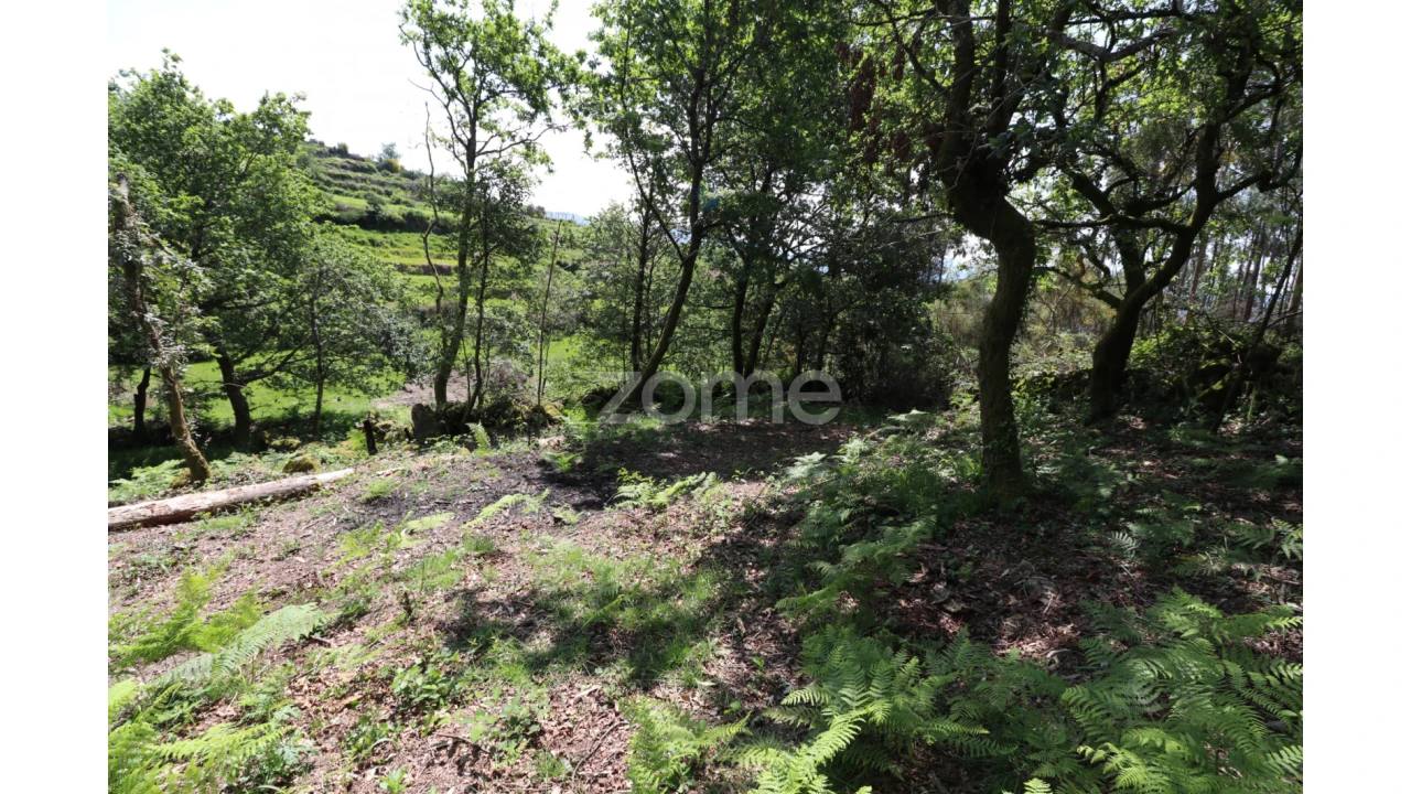 Terreno para Venda em Alvora e Loureda Foto 13